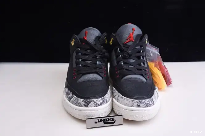 Reps TBK 2.0 Animal Air Retro Jordan - Instinct SE CV3583-003 3 0427
